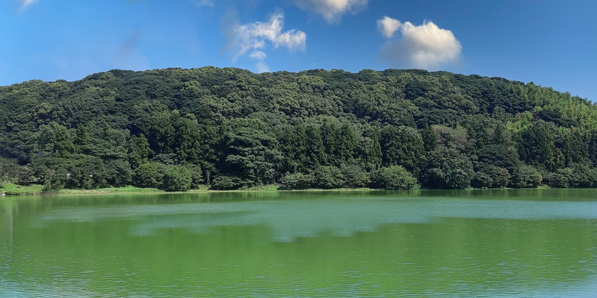 諏訪の池