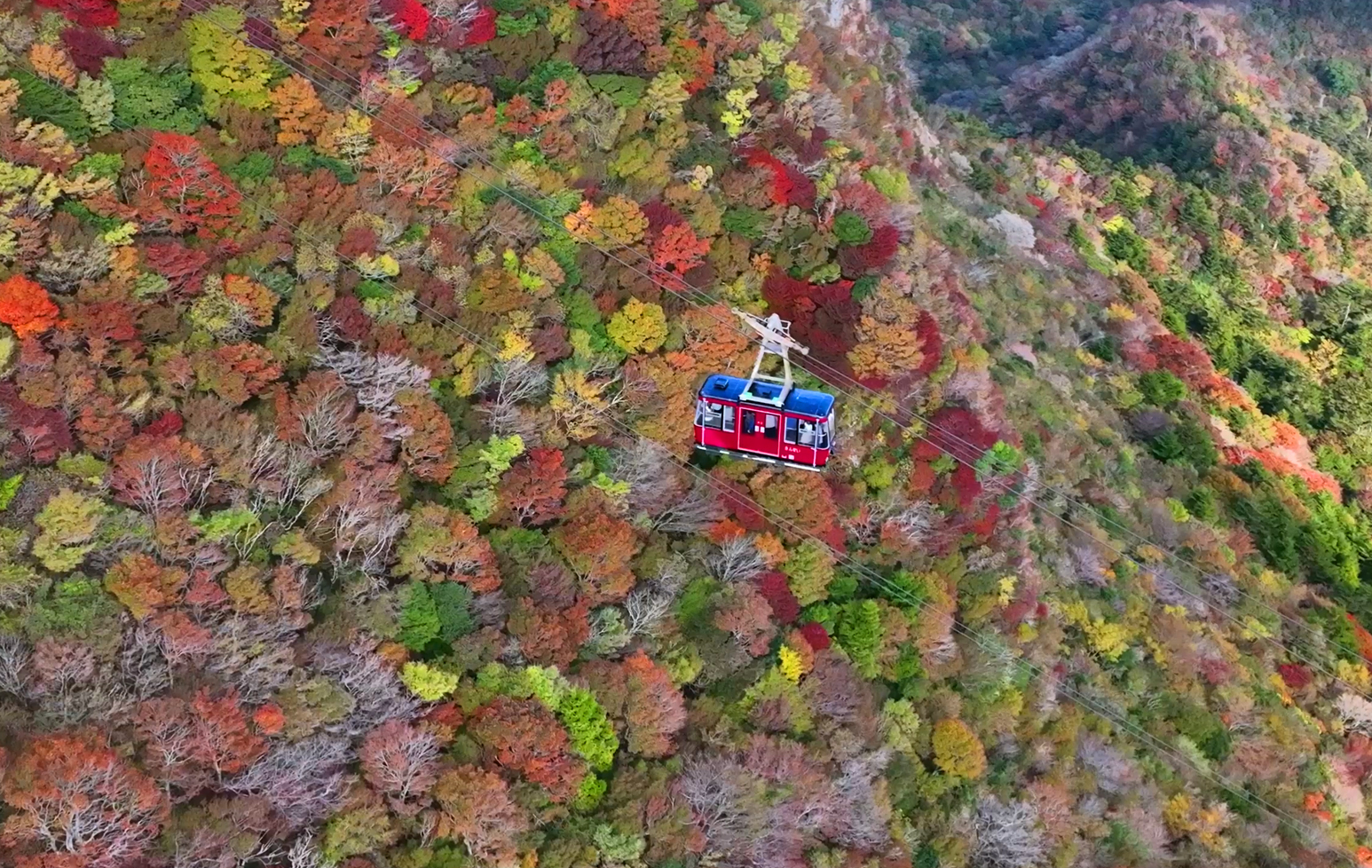 長崎ドローン、ドローン農薬散布