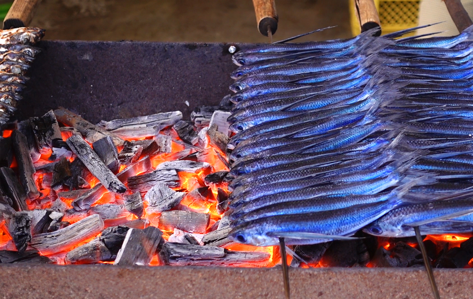 長崎ドローン、ドローン農薬散布