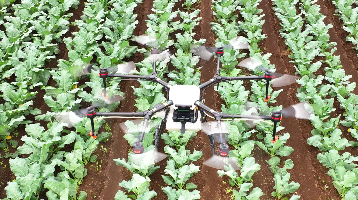 長崎ドローン、ドローン農薬散布