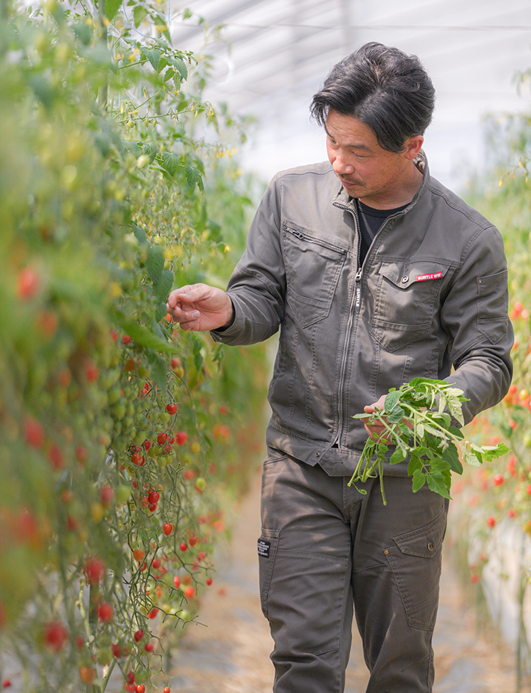 長崎ドローン、ドローン農薬散布