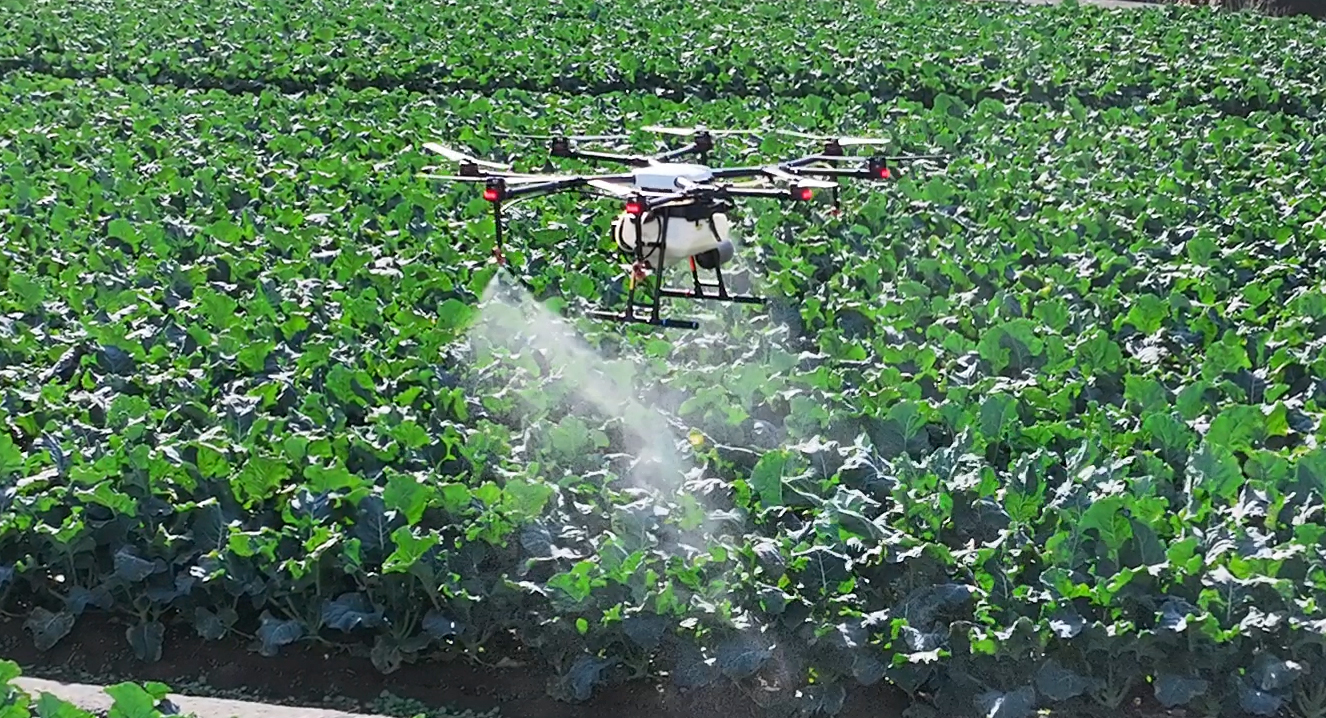 長崎ドローン、ドローン農薬散布