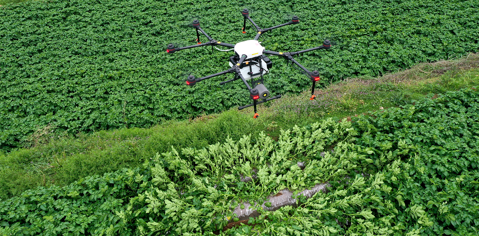 長崎ドローン、ドローン農薬散布